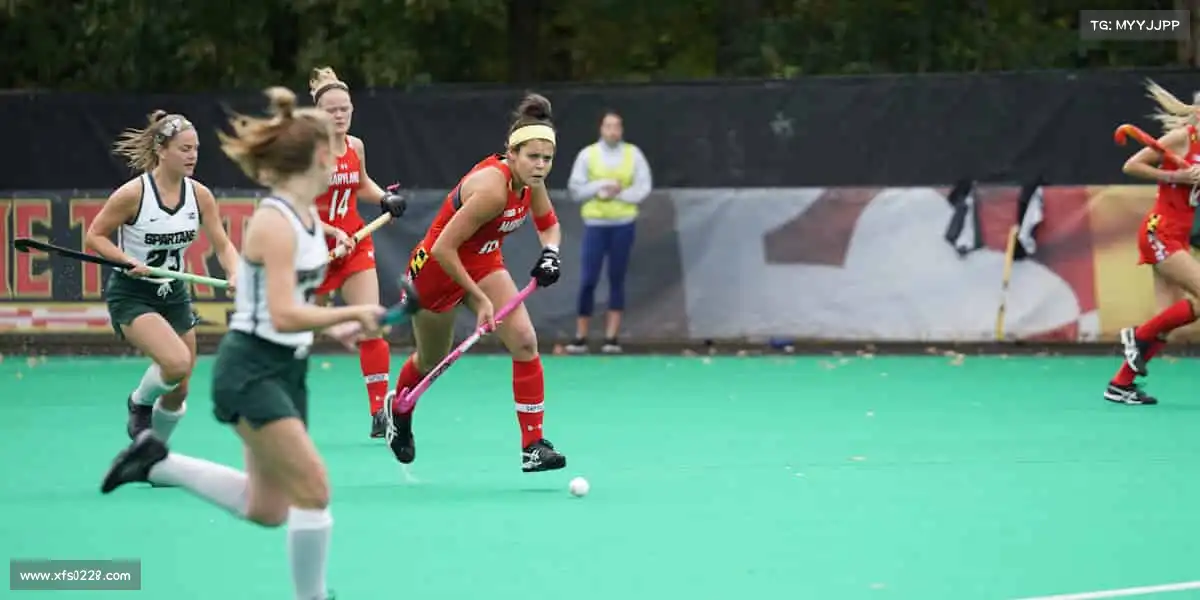 行业领先的理由